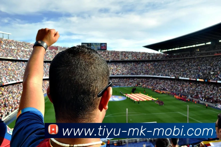 MK体育服务体系