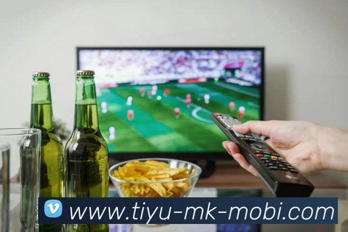 多媒体互动体验