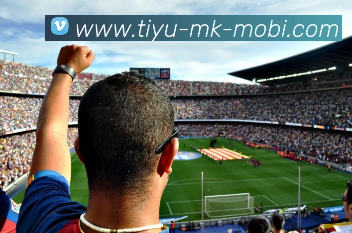 MK体育APP 体育赛事宣传图